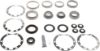 Picture of Spicer Axle Differential Bearing and Seal Kit - 510400-1