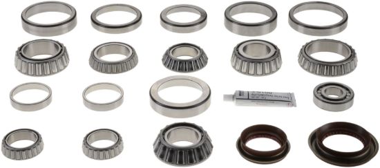 Picture of Spicer Axle Differential Bearing and Seal Kit - 512812-1