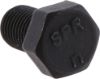 Picture of Spicer Drive Shaft Bolt - 6-73-209