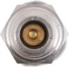 Picture of Spicer Tire Pressure Monitoring System (TPMS) Valve Kit - 673215