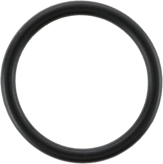 Picture of Spicer Multi-Purpose O-Ring - 673725