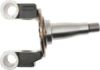Picture of Spicer Steering Knuckle - 817246