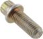 Picture of Spicer Differential Bolt - 974715
