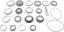 Picture of Spicer Select Axle Differential Bearing and Seal Kit - 35-4396