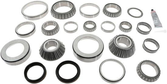 Picture of Spicer Select Axle Differential Bearing and Seal Kit - 45-650F