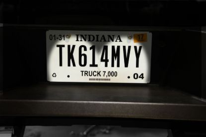 Picture of LoD Offroad License Plate Light Bolt - LPL1001