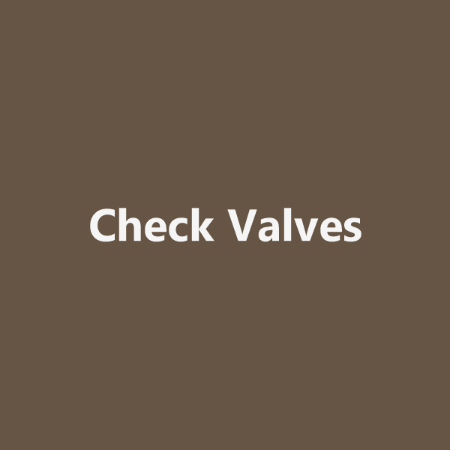 Picture for category Check Valves