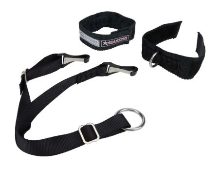 Picture for category Arm Restraints