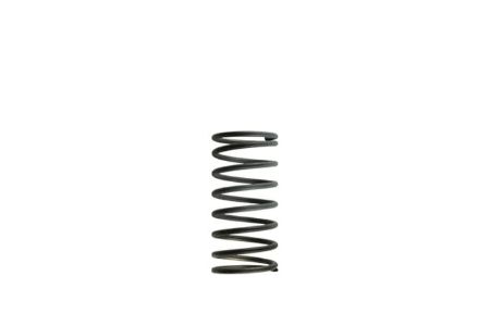 Picture for category Supercharger/Turbocharger Springs