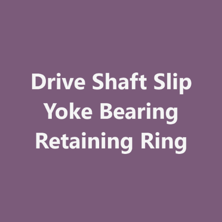 Picture for category Drive Shaft Slip Yoke Bearing Retaining Ring