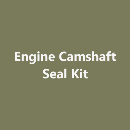Picture for category Engine Camshaft Seal Kit
