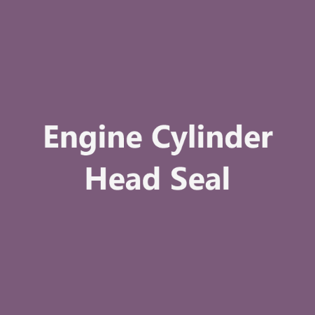 Picture for category Engine Cylinder Head Seal