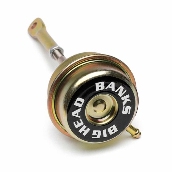 BANKS BIG HEAD ACTR STNGR/STOC - 24401