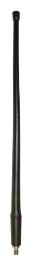 CROWN AUTO ANTENNA  SHORTY - RT27060