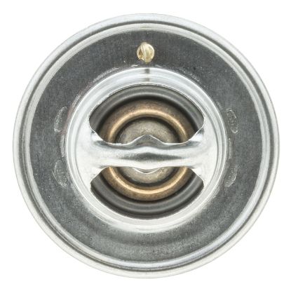 MOTOR RAD AM THERMOSTAT - 233160JV
