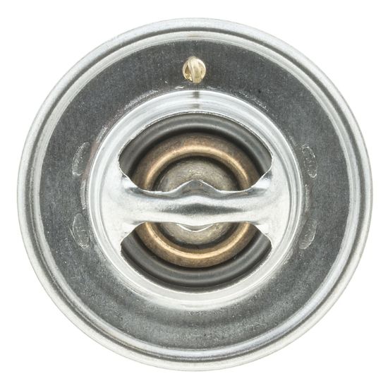 MOTOR RAD AM THERMOSTAT - 233160JV