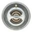 MOTOR RAD AM THERMOSTAT - 233160JV