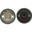 MOTOR RAD AM THERMOSTAT KIT - 447448