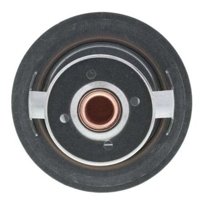 MOTOR RAD AM THERMOSTAT - 655195