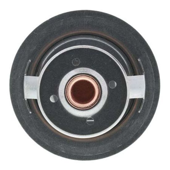 MOTOR RAD AM THERMOSTAT - 655195