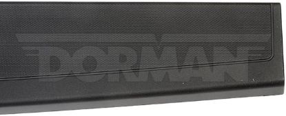 DORMAN TAILGATE MOLDING ASSEMBLY - 925604