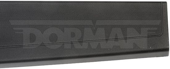 DORMAN TAILGATE MOLDING ASSEMBLY - 925604