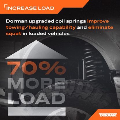 DORMAN COIL SPRING SET - 929901