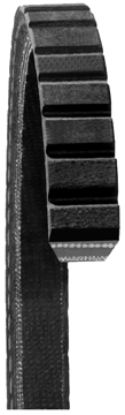DAYCO FAN BELTS - 15480