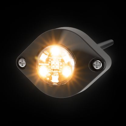 ECCO ELECT LED FLASHER HAL 12-24 VDC - ED9015A