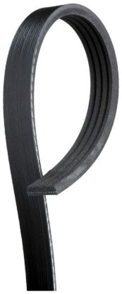 GATES CORP V-RIBBED BELT - K040535