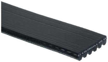 GATES CORP V-RIBBED BELT - K060834