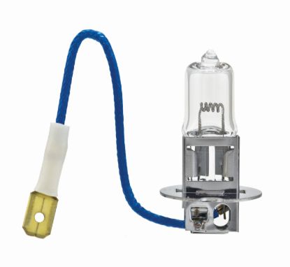 HELLA BULB 24V 70W PK22S T3.25 - H324V