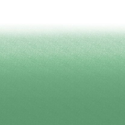 LIPPERT COMP CANVAS-15' WHGRN-PREPFLEX-TUBE - V000524784