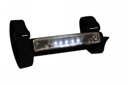RAMPAGE INTERIOR LIGHT - 769801