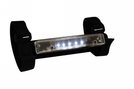 RAMPAGE INTERIOR LIGHT - 769801
