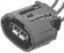 STANDARD IGN ALTERNATOR ELECTRICAL CONNECTOR - S2533