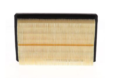 WIX FILTR LD AIR FILTER - WA10000