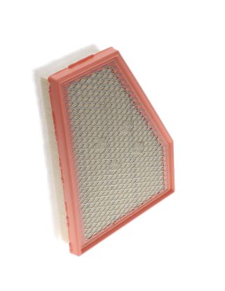WIX FILTR LD AIR FILTER - WA11194