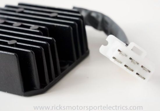 RICK'S ELECTRIC OE STYLE REC/REG