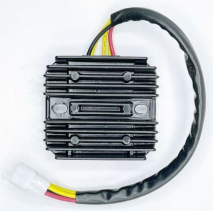 RICK'S ELECTRIC RECTIFIER-REGULATOR