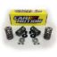 GM LS  Dual Valve Spring Kit .660 DIa.