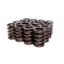 Sure Seat Valve Springs Complete Set