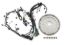 Coyote Engine Automatic Transmission Upfit Kit