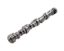 GM LS Hyd Roller Cam .553/.553 218/224 @ .050