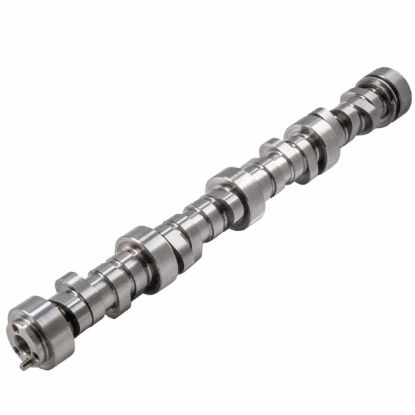 GM LS Hyd Roller Cam .604/.604 224/230 @.050
