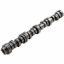 GM LT Hyd Roller Cam .502/.494