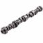 GM LT Hyd Roller Cam .639/.639 224/238 @.050
