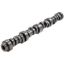 GM LS Hyd Roller Cam .577/.577