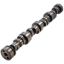 GM LS Hyd Roller Cam .625/.610 227/231 @ .050