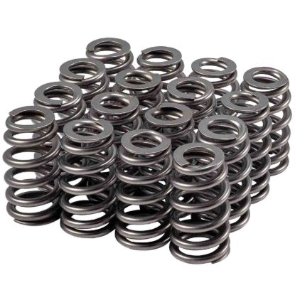Valve Spring Set 1.307 Dia. Dual Spring